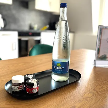 Charmante Altbauwohnung Im Herzen Von Kostenloser Parkplatz 拉施塔特